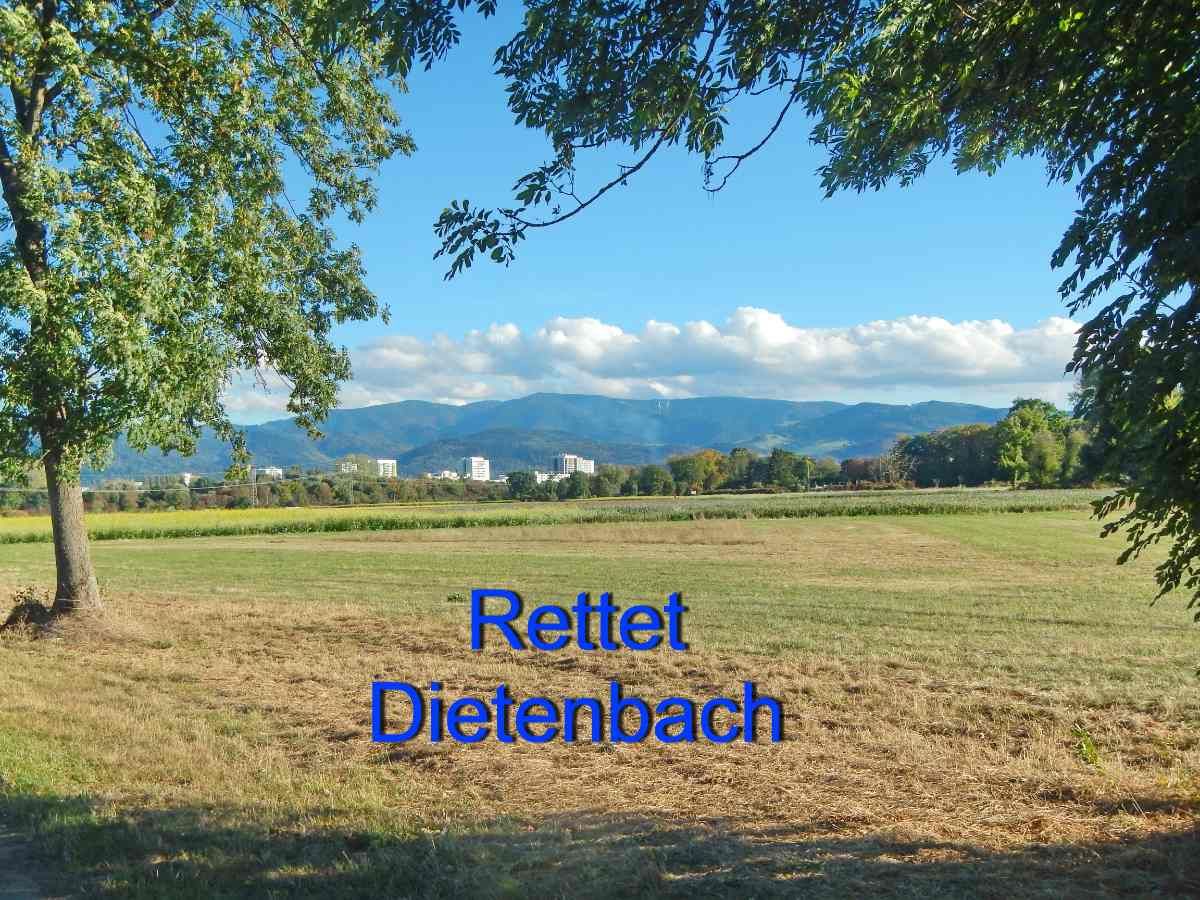 Keine Bäume fällen in Dietenbach