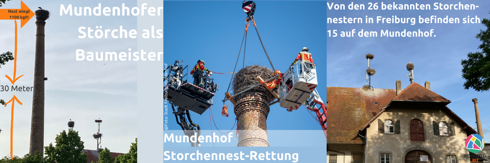 Storchennester-Rettung Mundenhof