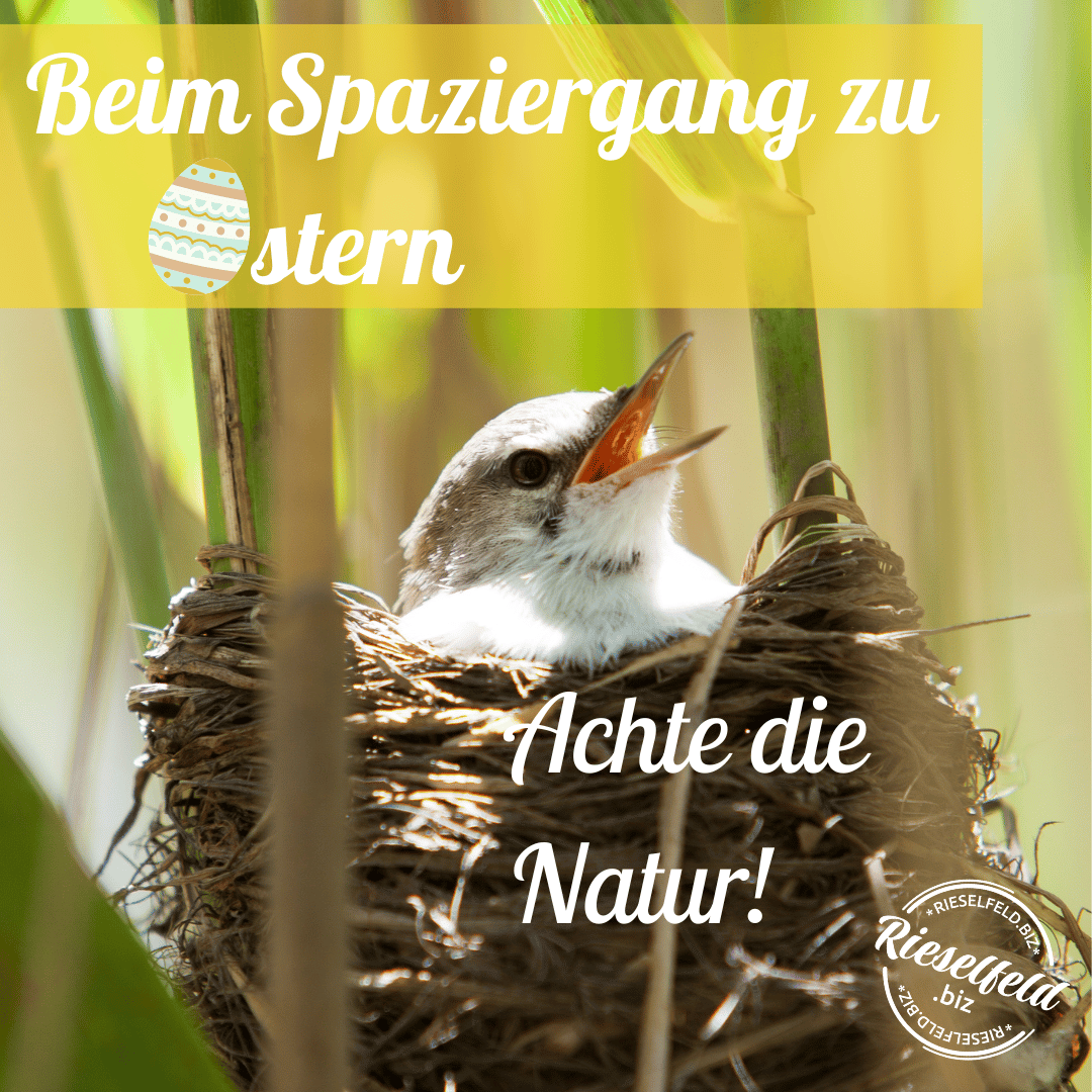 Achte die Natur!