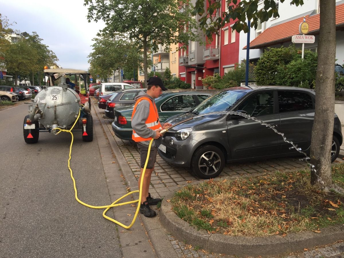 Bäume gießen im Rieselfeld