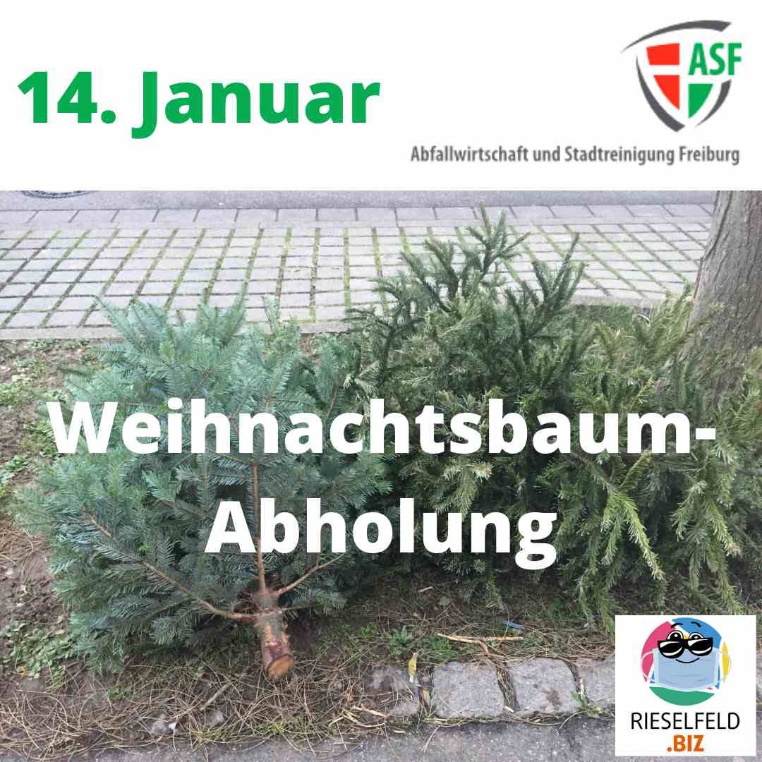 Weihnachtsbäume Abholung 14.1.