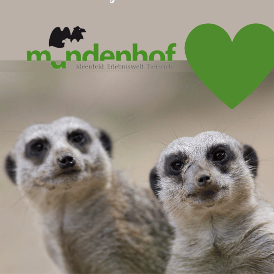 Erdmännchen auf dem Mundenhof