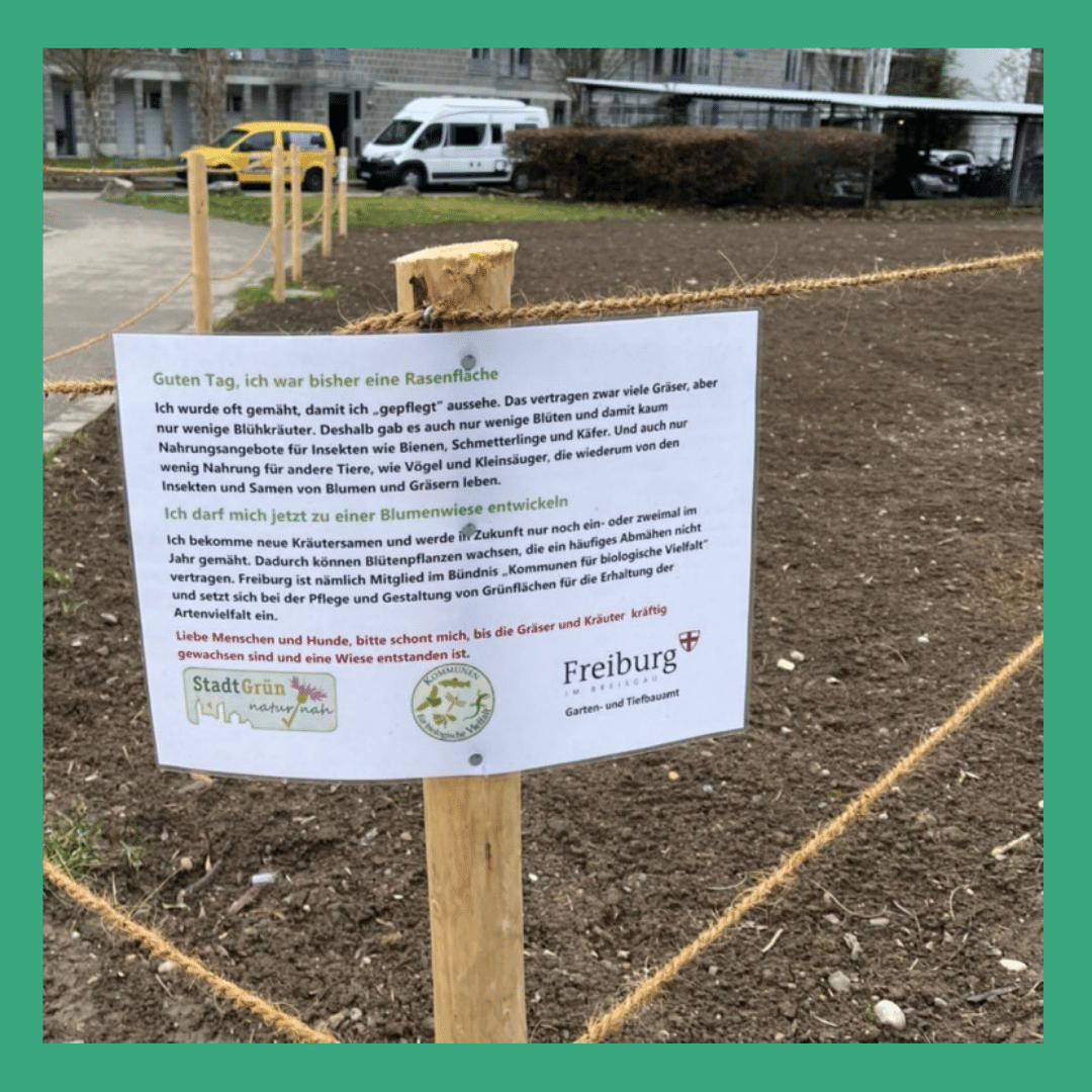 Neue Blumenwiese mit Schild