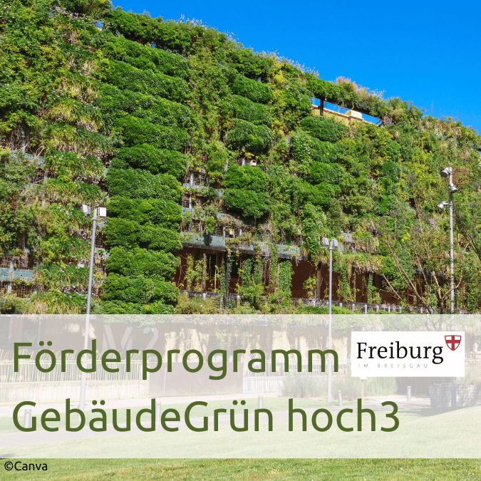 Förderprogramm GebäudeGrün hoch3