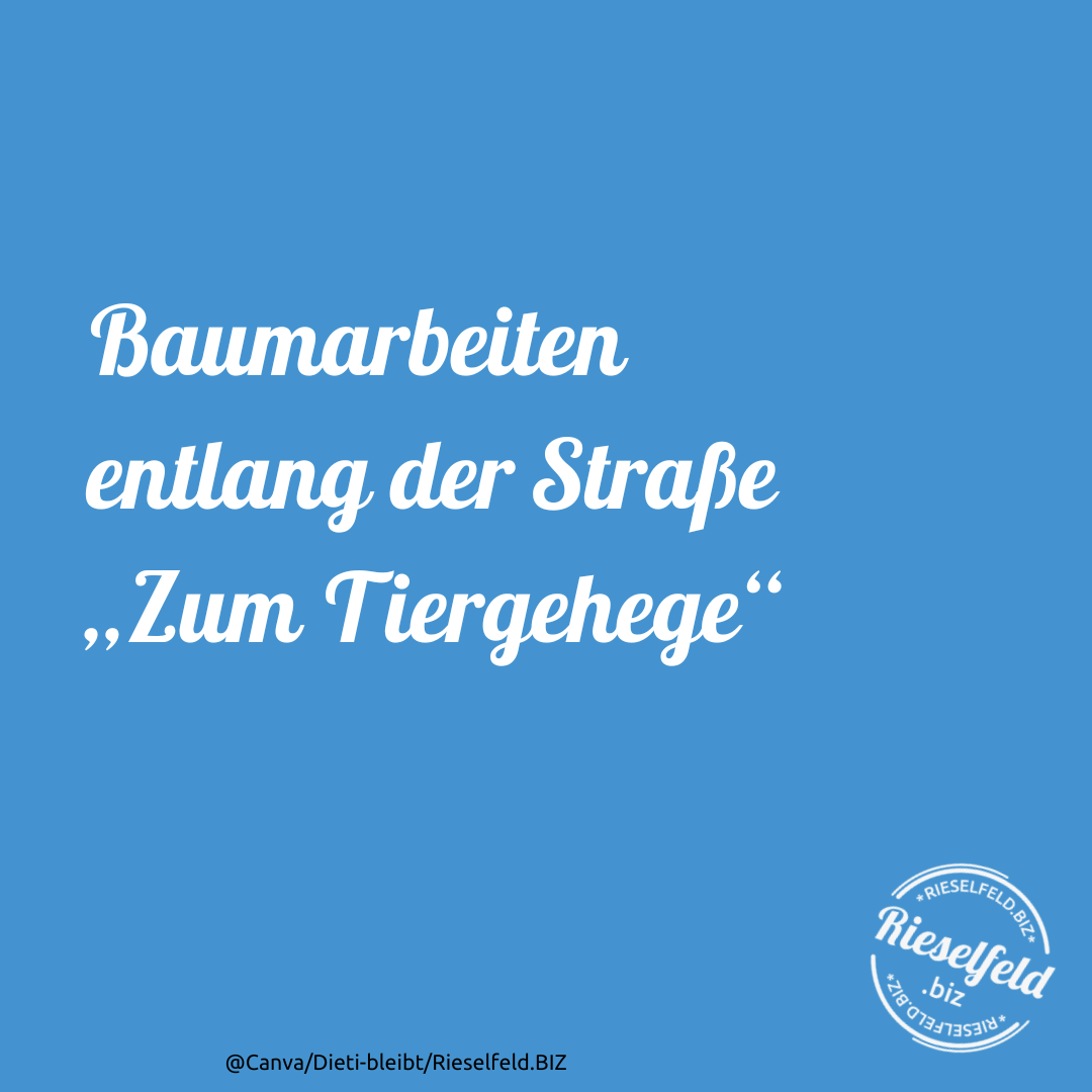 Baumarbeiten entlang der Straße „Zum Tiergehege“