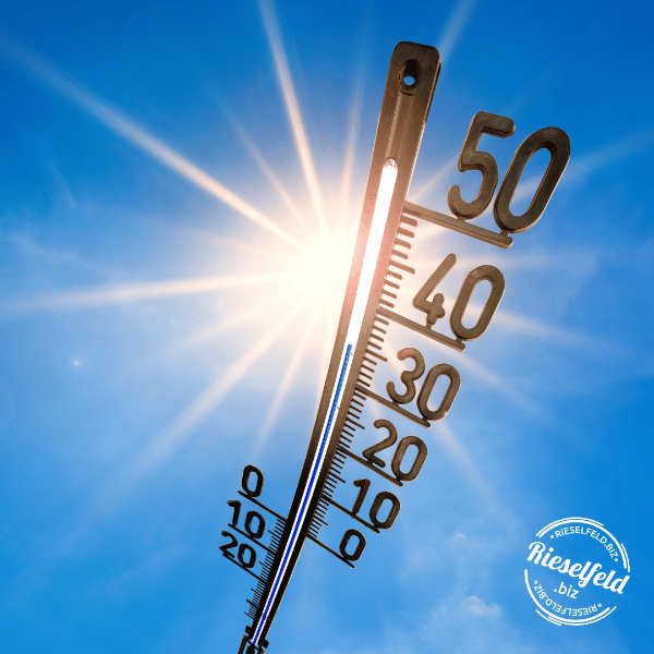 Hitze im Rieselfeld
