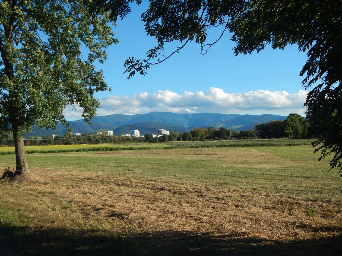 161015 58671kl Dietenbach Mitte Foto GL.privat 1200