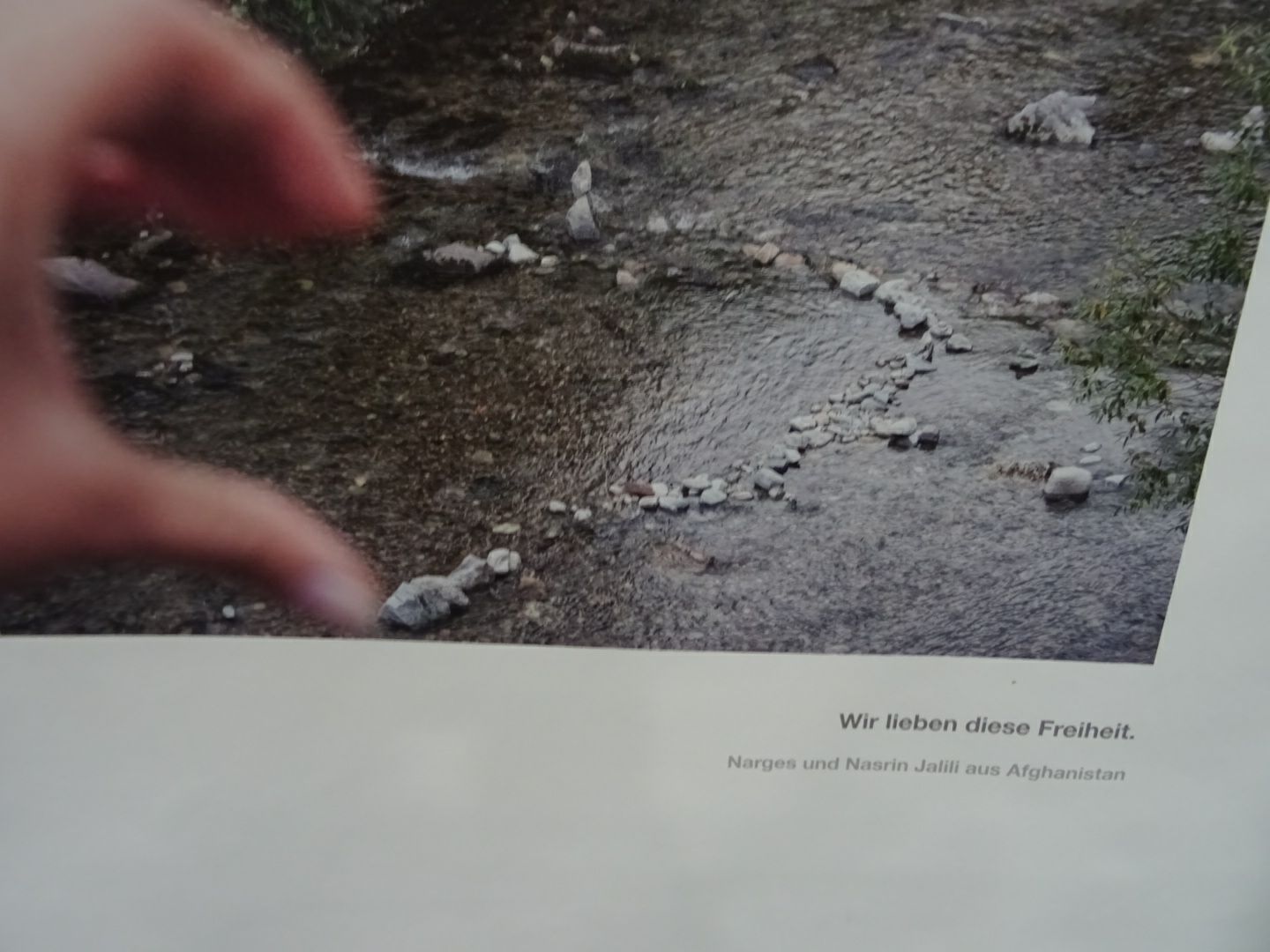 we cross borders ausstellung hofmaier 8