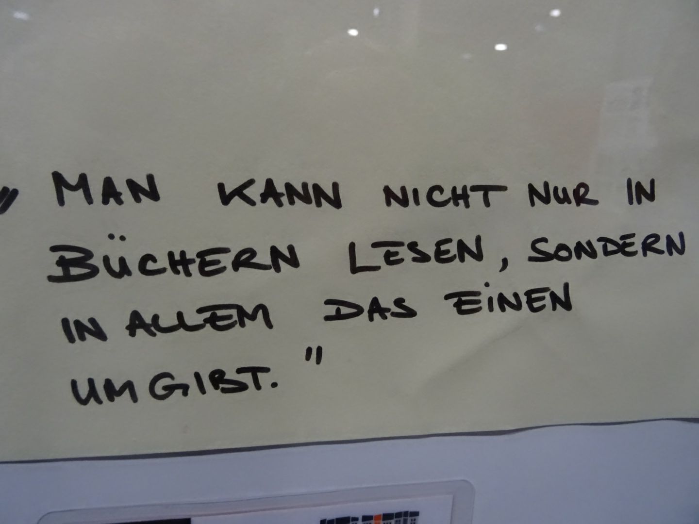 we cross borders ausstellung hofmaier 8