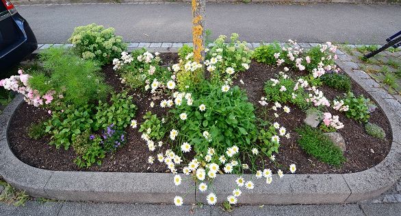 biv baumscheiben wettbewerb Rieselfeld 2016