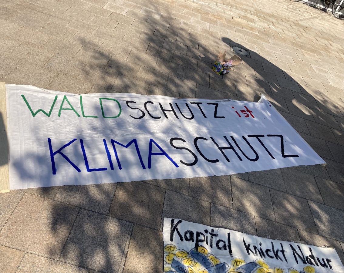demoRieselfeld2021 10 fotos BIZ waldschutz