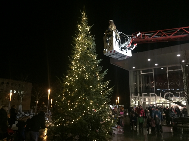 Weihnachtsbaumstellen2019 Rieselfeld 7