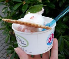 Eis essen im Rieselfeld Eisbecher