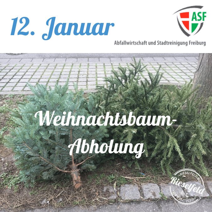Weihnachtsbaum Abholung 2024 01 12