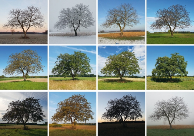 9 05 2018 Landschaft Dietenbach Susanne P1190975