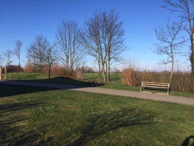 Bollerstaudenweg Rieselfeld 03 2018Rieselfeld BIZ 1