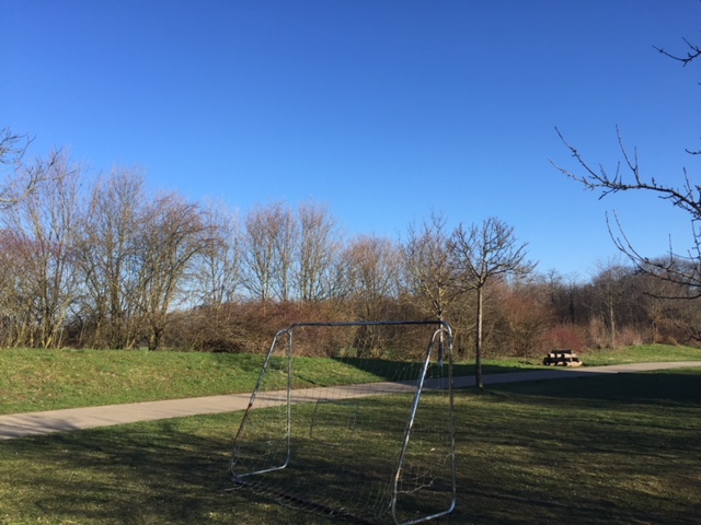 Bollerstaudenweg Rieselfeld 03 2018Rieselfeld BIZ 1