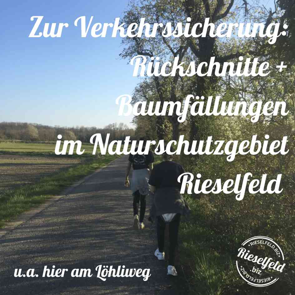 Löhliweg mit Wanderern