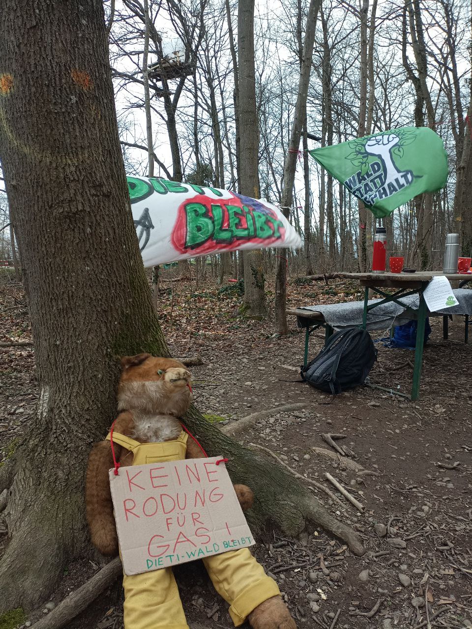 Dieti bleibt - Rieselfeld