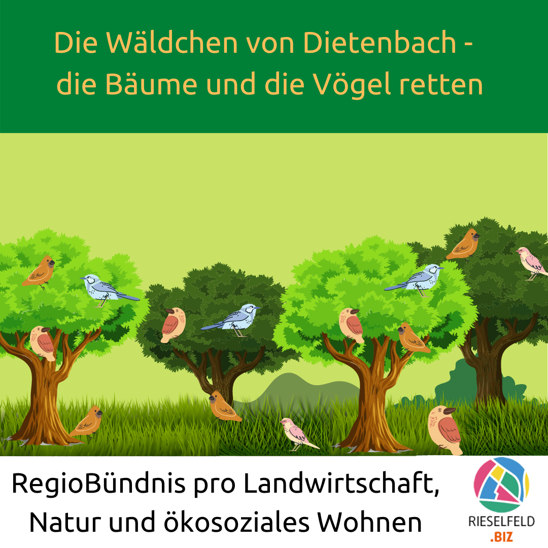 3. Erklärung zum Neubaustadtteil Dietenbach zu Wald und Vogelwelt