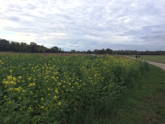 Dietenbach Foto Copyright Gabi Obi