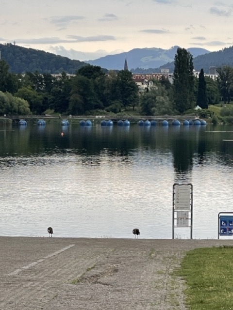 Flückiger See Seepark