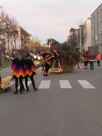 Narrenbaumstellen Rieselfeld Friburger Hölle Leue