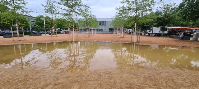 2025 06 Grüne Mitte See Rieselfeld5ea48b42 6213 472c b21b d4e20de9938a