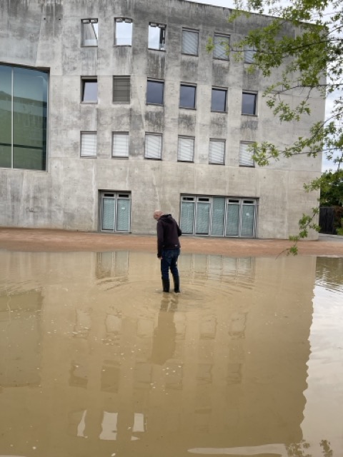 2025 06 Grüne Mitte See RieselfeldIMG 8930