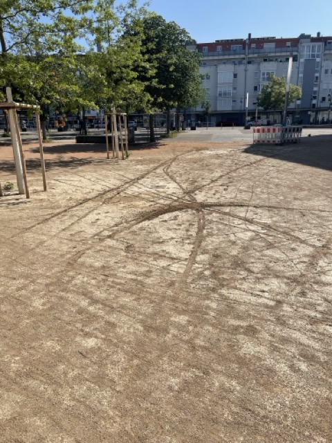 2025 06 Grüne Mitte See RieselfeldIMG 9267