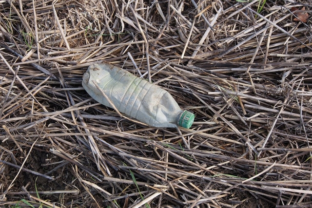 Plastozän Bagger Dietenbach Ausgrabungen Rieselfeld Heiner Sigel