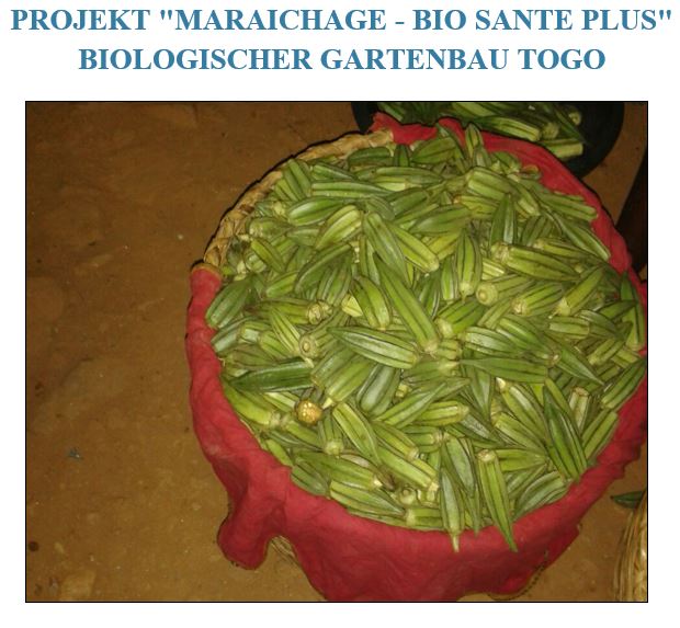 UDD Togo 1 Okra Foto