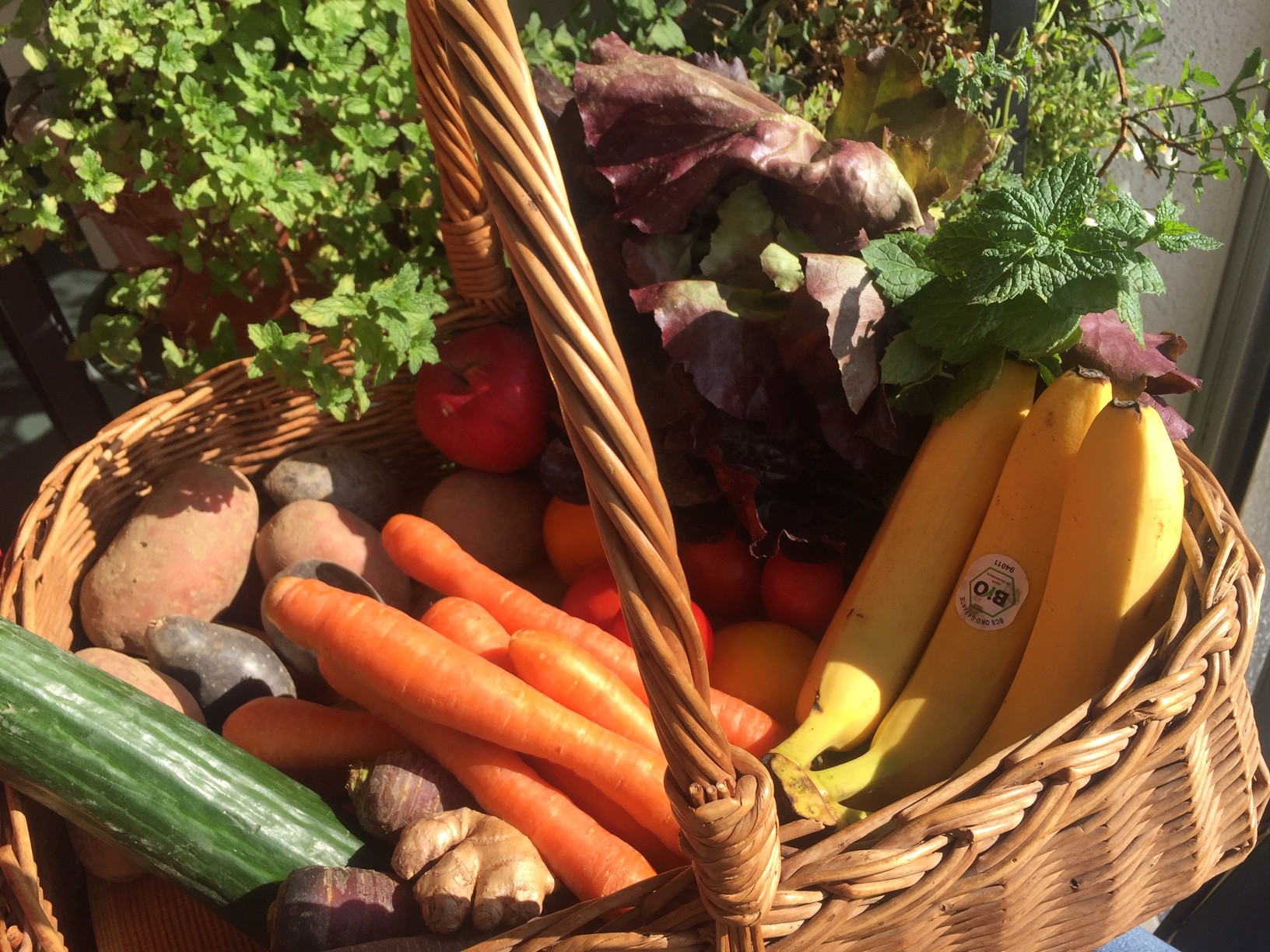 Erntedankfest Rieselfeld Foto Copyright Gabi Obi