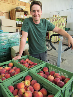 joel Siegel Copyright Obstgut Siegel