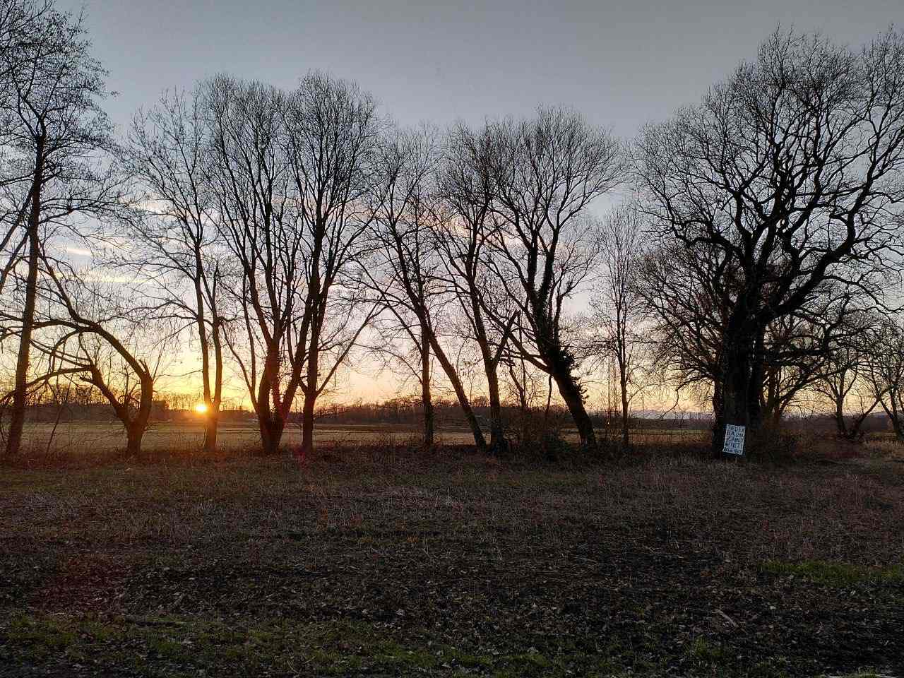 Auenlandschaft Dietenbach