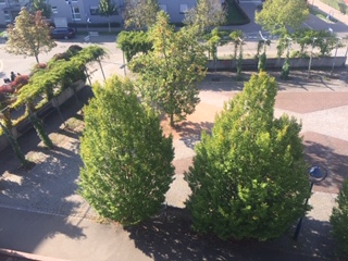 Mathilde Otto Platz Rieselfeld 6