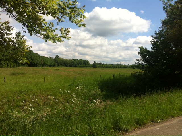 Naturschutzgebiet Rieselfeld 1