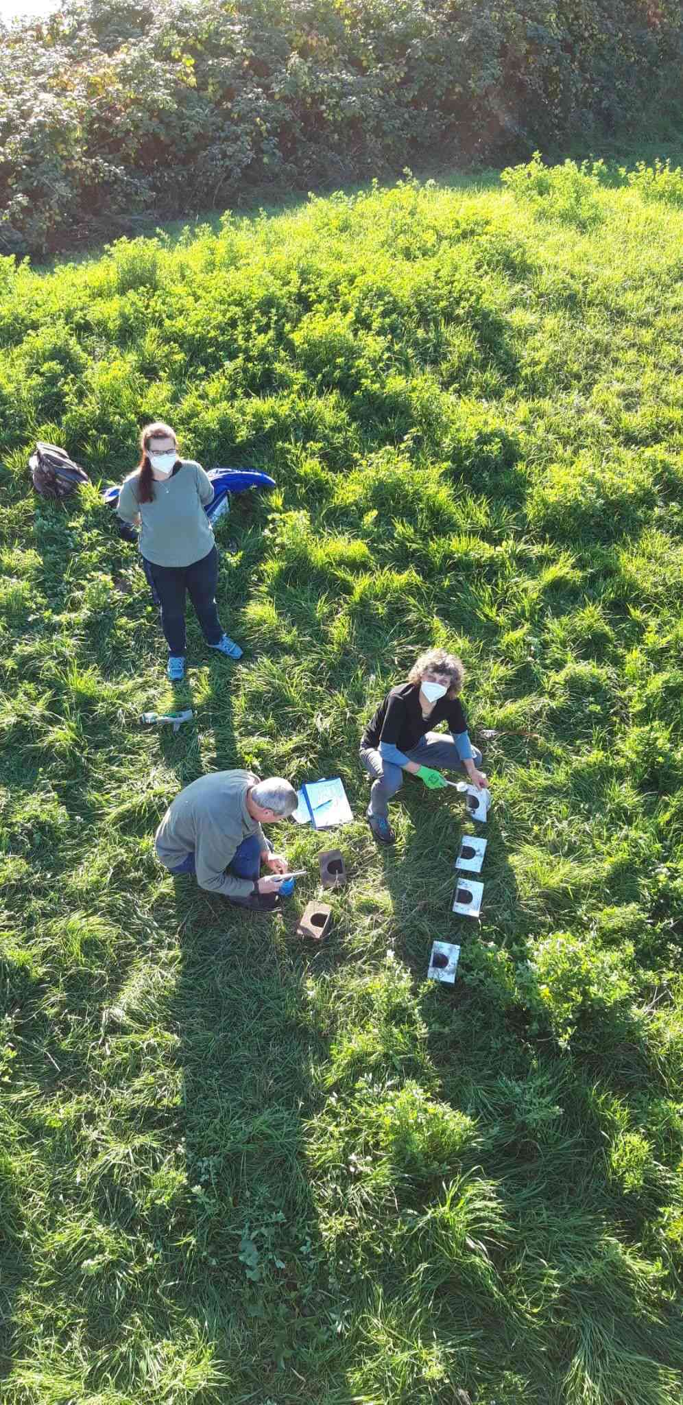 Schwalbenhaus Rieselfeld BlickVonOben1