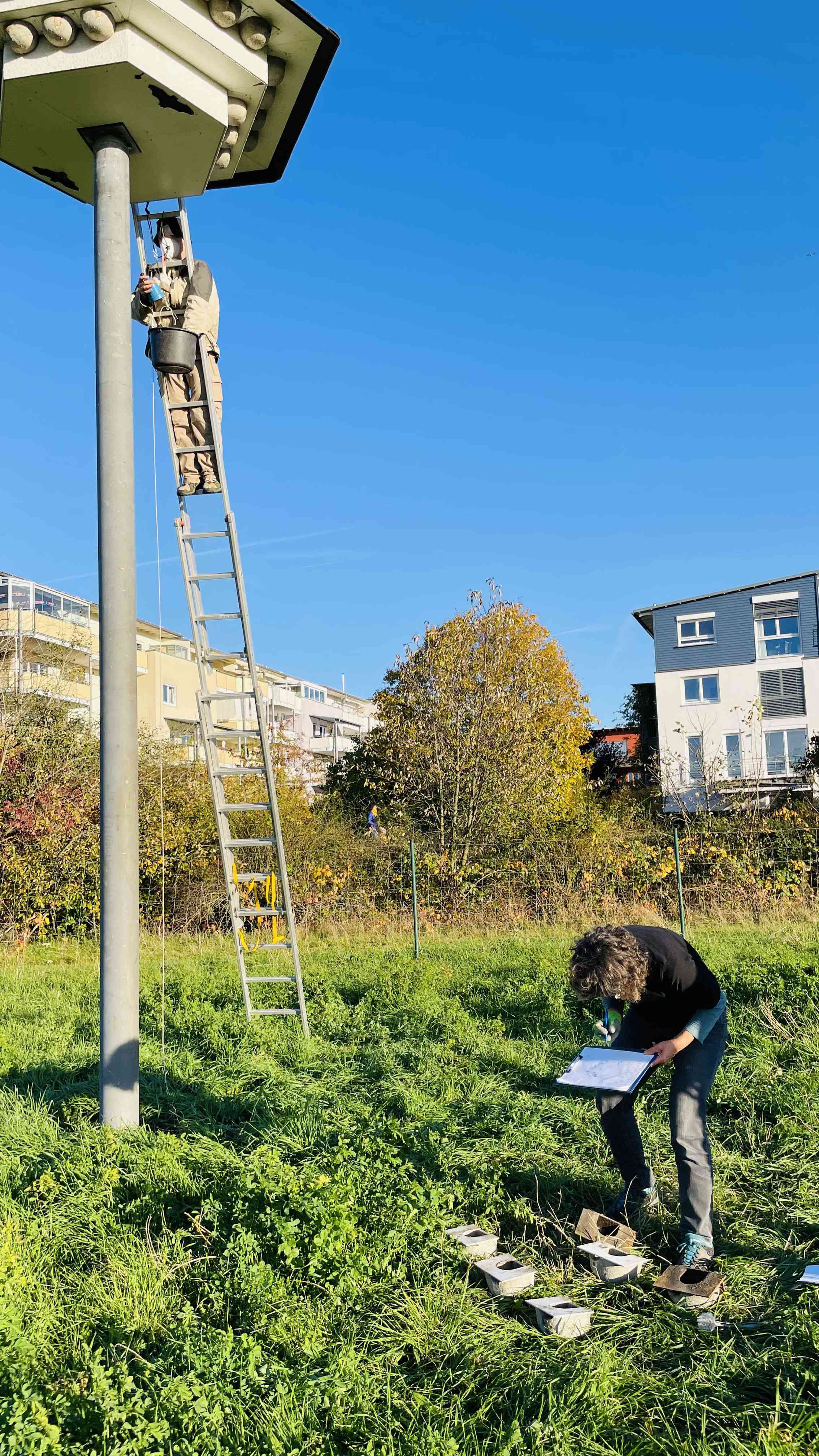 Schwalbenhaus Rieselfeld Notieren der Ergebnisse
