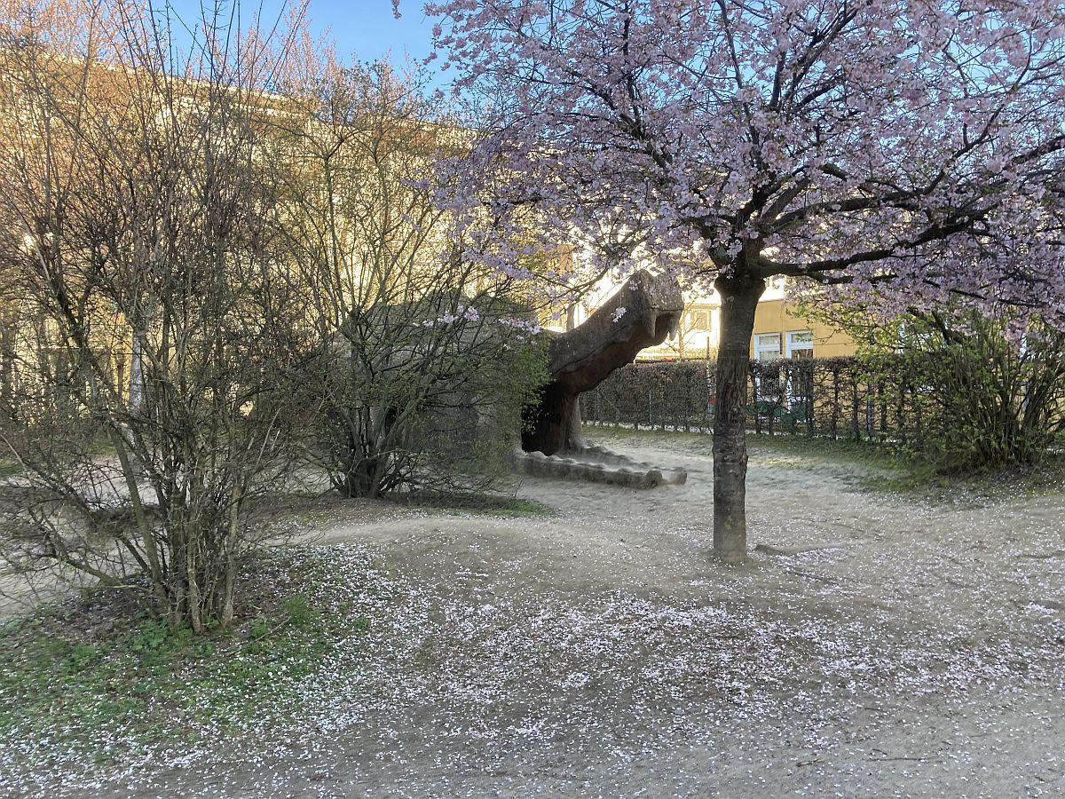 Drachenspielplatz Rieselfeld BIZ 11200