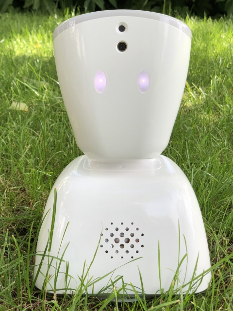 Tillmann Cordes Avatar cnoisolation com