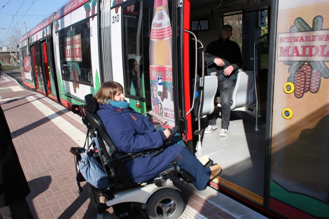 190221 Umbau Lindenwäldle