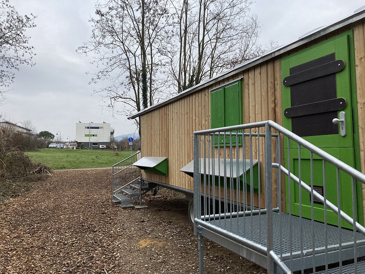 neuer Waldkindergarten im Rieselfeld 41200