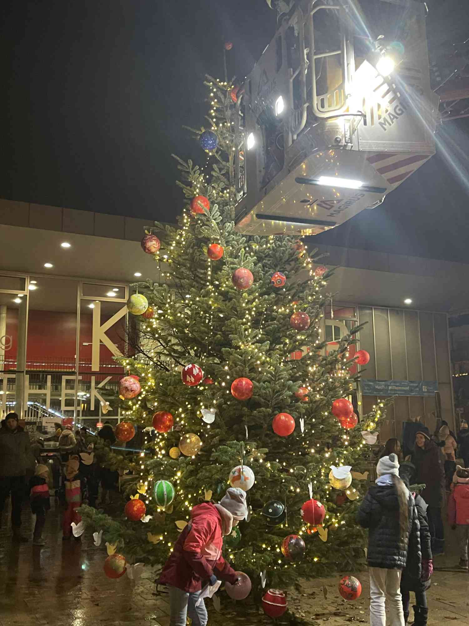 Weihnachtsbaumstellen2023 1827