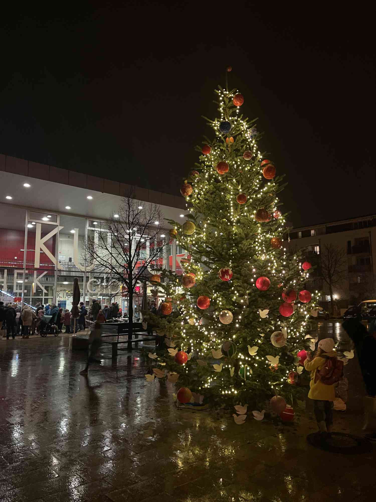 Weihnachtsbaumstellen2023 1835