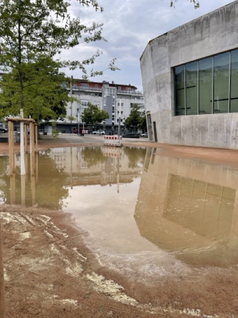Grüne Mitte - nasse Mitte?