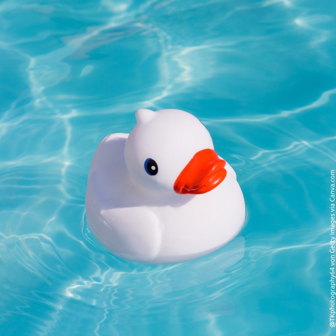 Poolwasser richtig entsorgen - Umweltschäden vermeiden