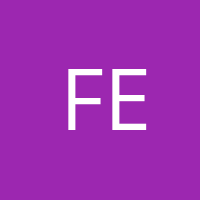 fesa ev