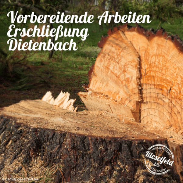 Vorbereitende Arbeiten für die Erschließung des Stadtteils Dietenbach