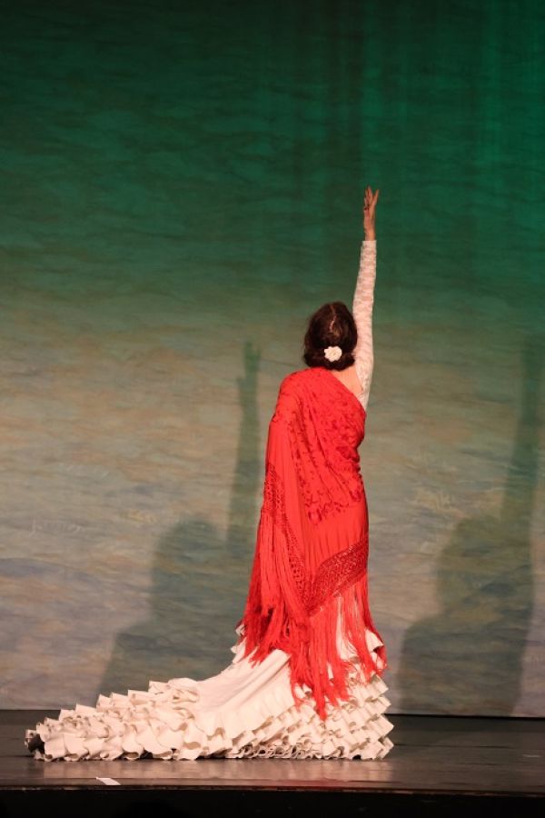 Flamencotänzerin von hinten in rotem Kleid